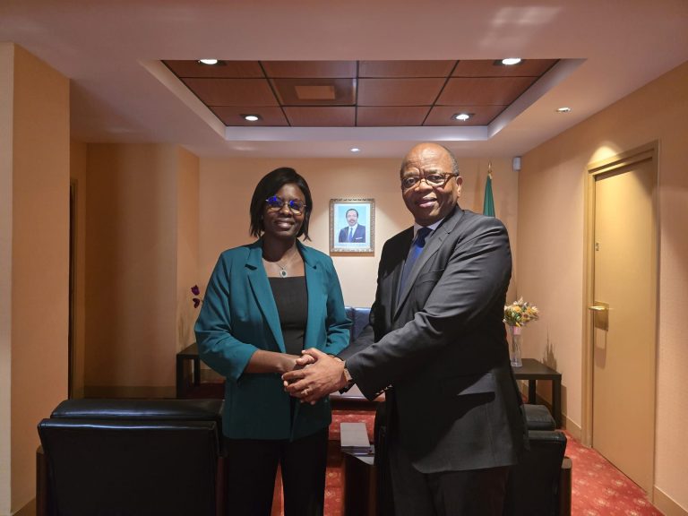 Visite de courtoisie